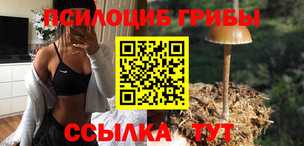 Псилоцибиновые грибы Cubensis  Вход с VPN  Петрозаводск 